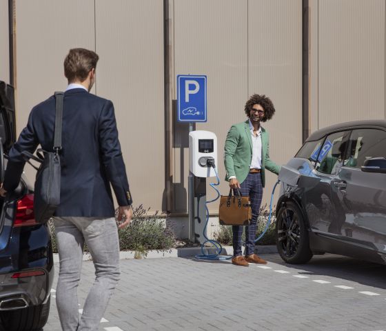 Alfen Eve Double Pro office charge point